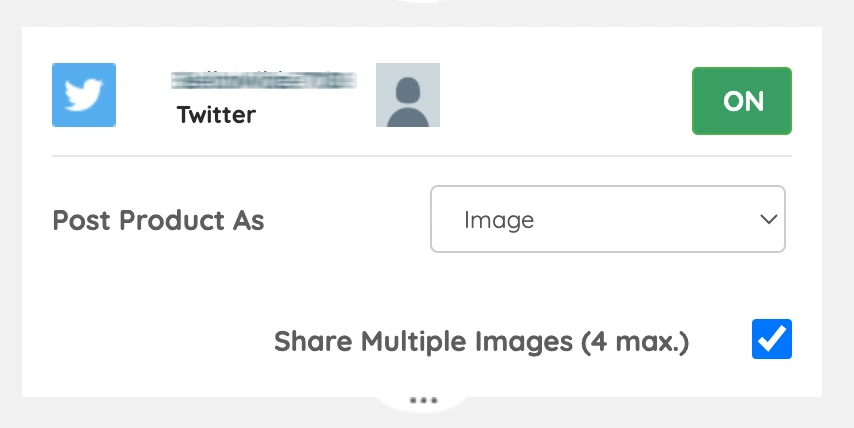 Twitter (X) Settings