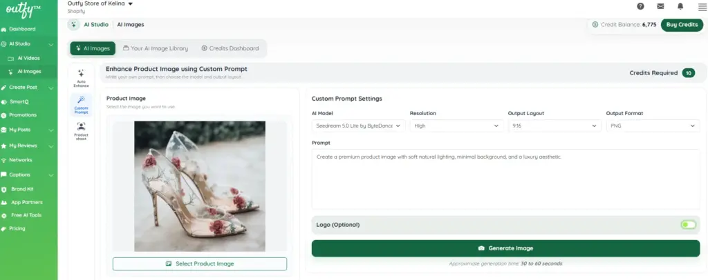 Custom Prompt