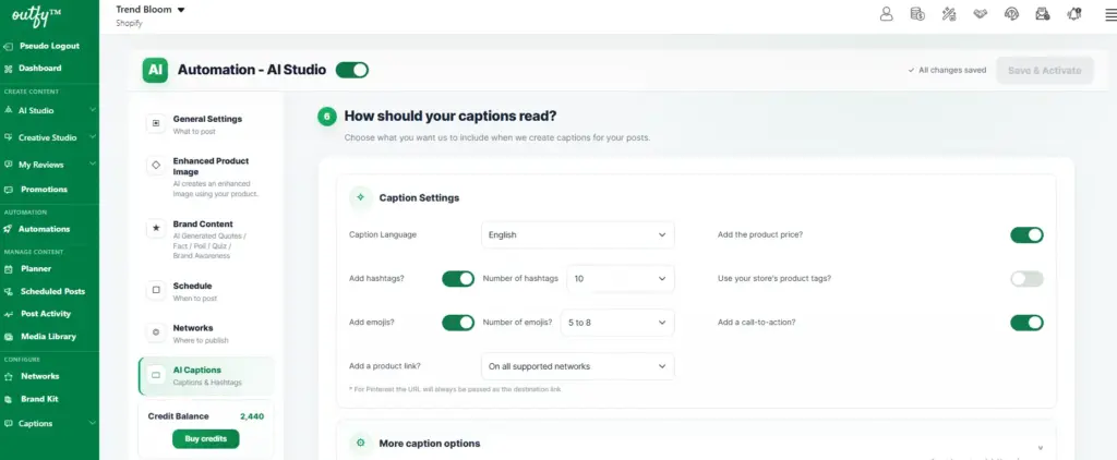 Caption settings